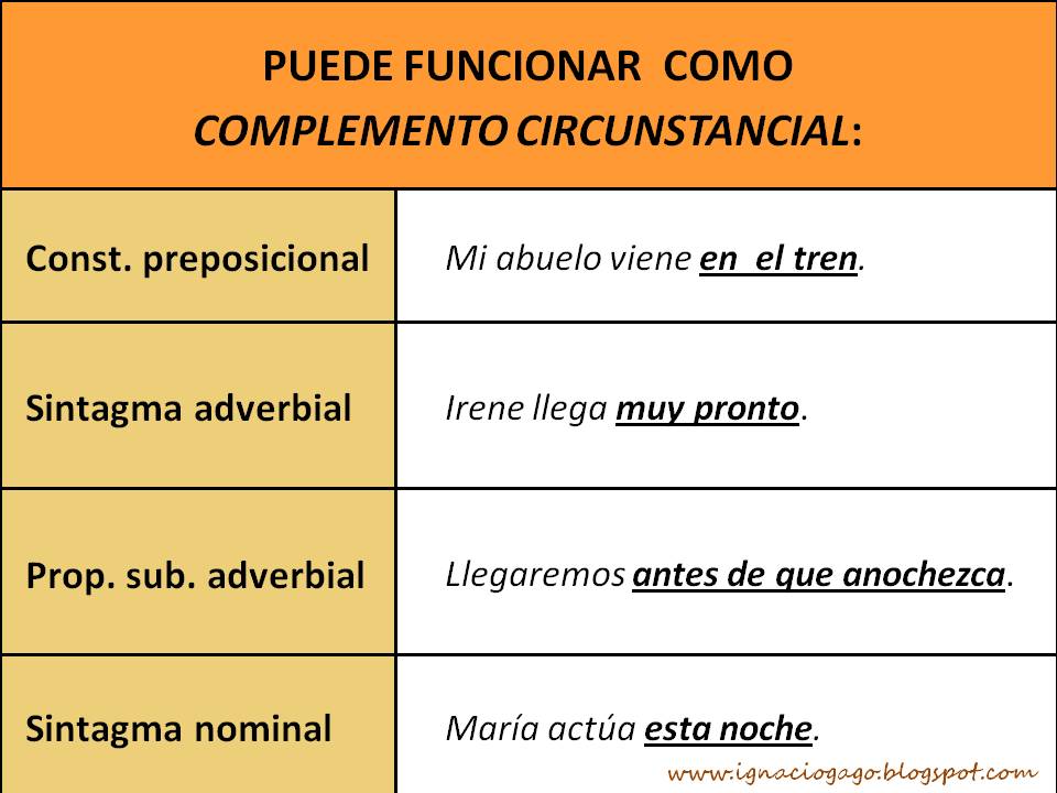 El parásito en la cabeza en el cerebro